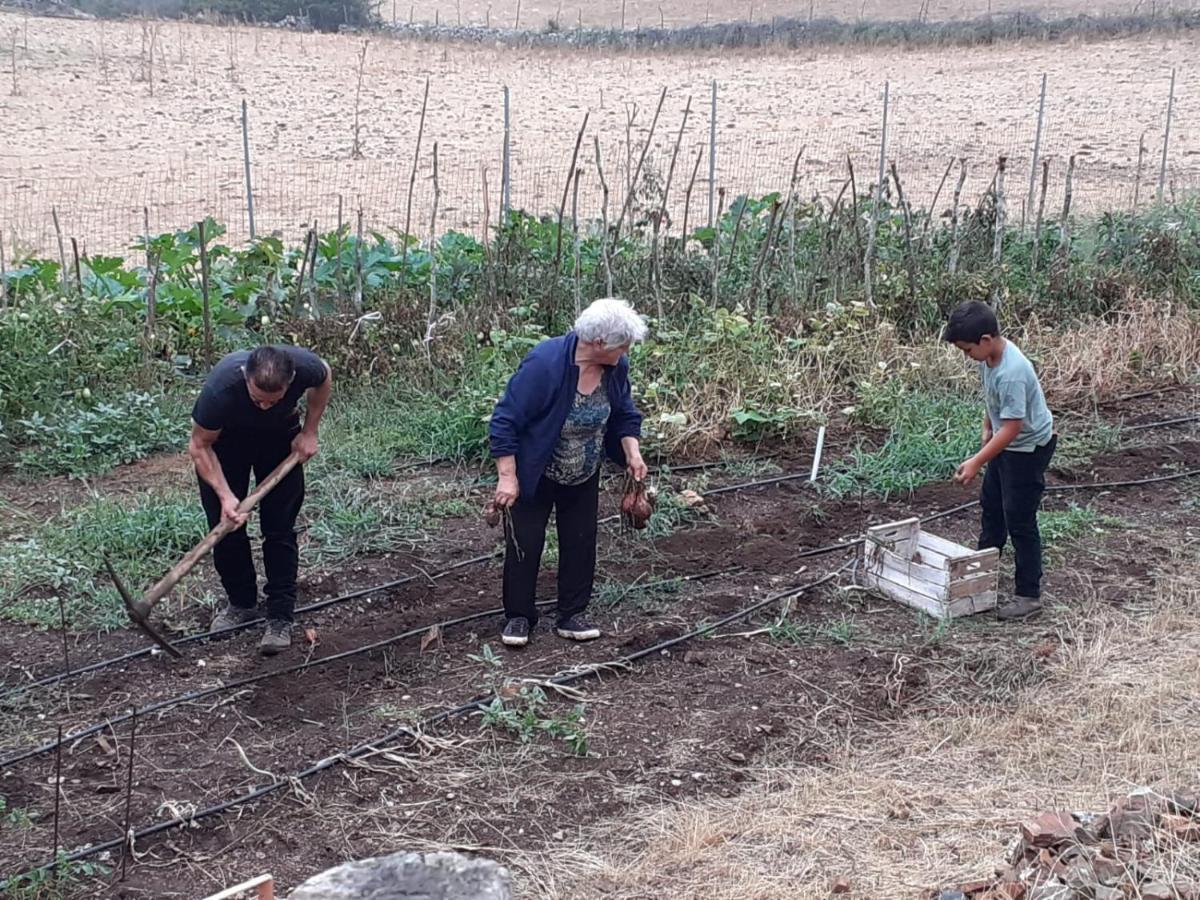 Agriturismo S'Armidda Seùlo 외부 사진