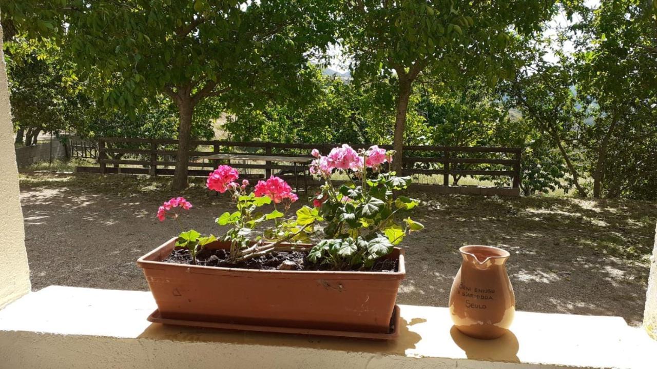 Agriturismo S'Armidda Seùlo 외부 사진