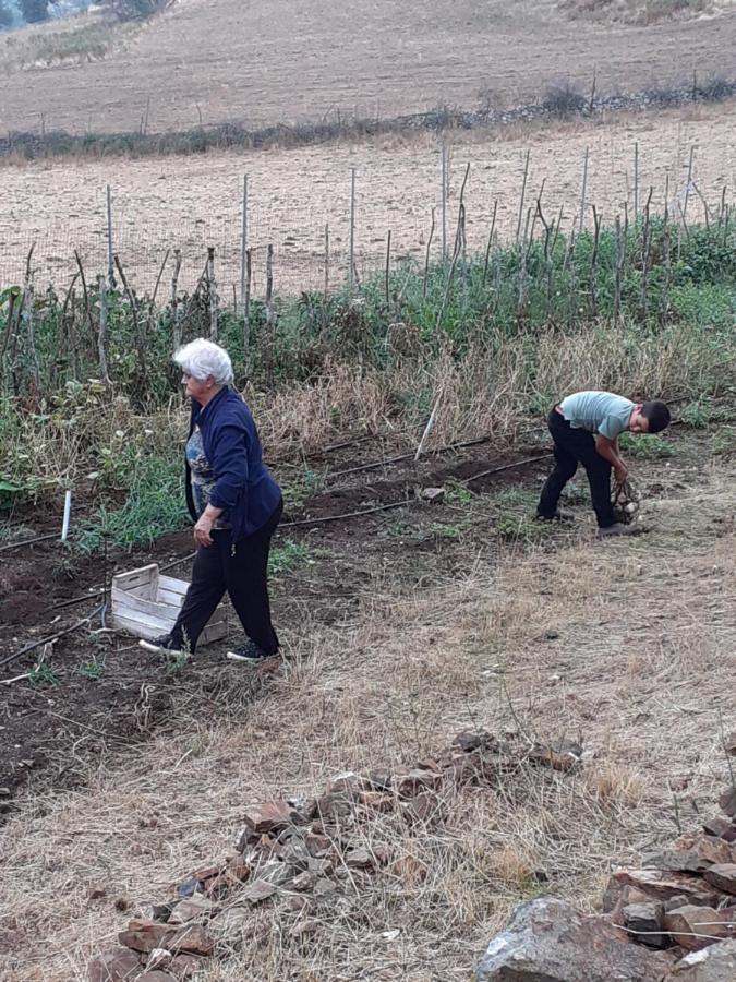 Agriturismo S'Armidda Seùlo 외부 사진