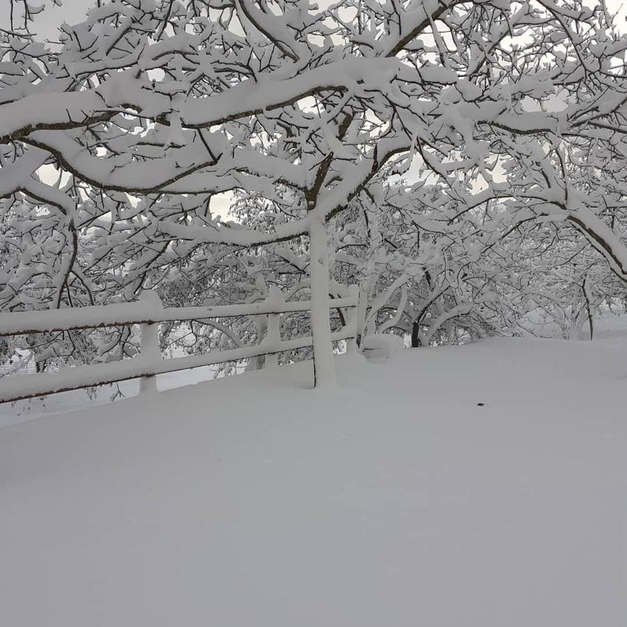 Agriturismo S'Armidda Seùlo 외부 사진