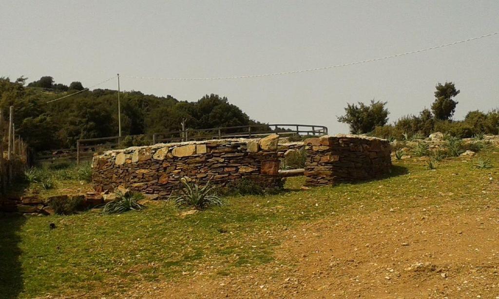 Agriturismo S'Armidda Seùlo 외부 사진