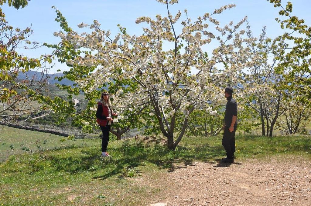 Agriturismo S'Armidda Seùlo 외부 사진