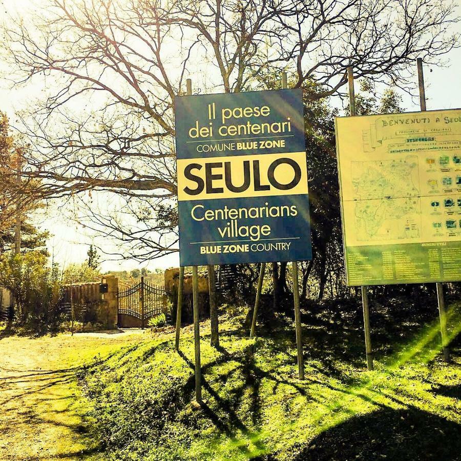 Agriturismo S'Armidda Seùlo 외부 사진